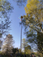 /album/majka-2026/img-20260430-180419-jpg/