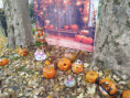 /album/dynovani-2026/img-20261024-162616-jpg1/